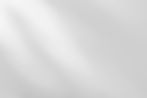 shadow-of-leaves-tree-plant-overlay-on-white-wall-2025-06-06-22-20-29-utc.jpg