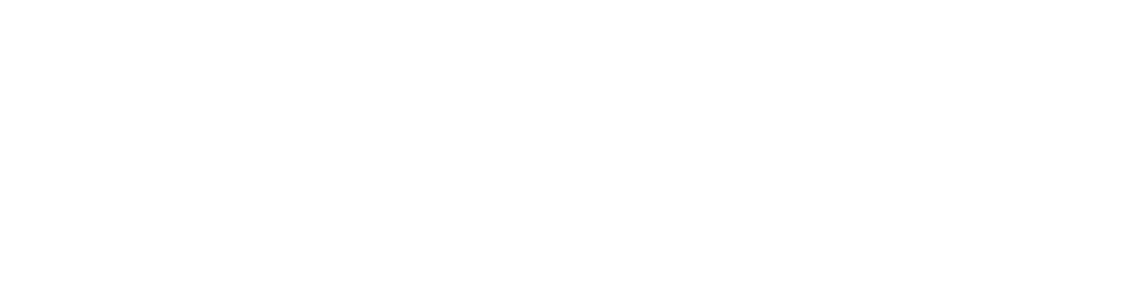 Logo Hikari