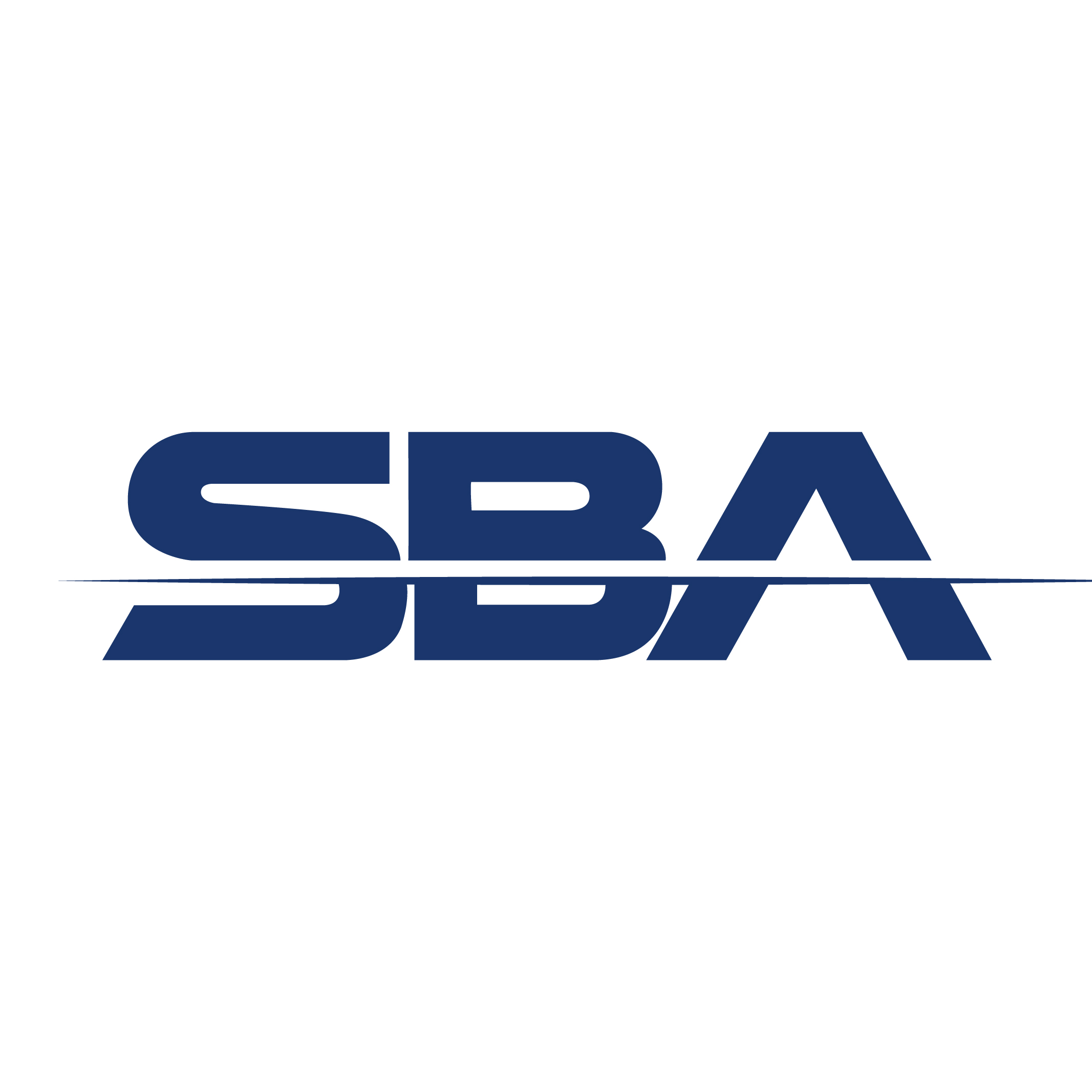 Writer: Team Leader SBA