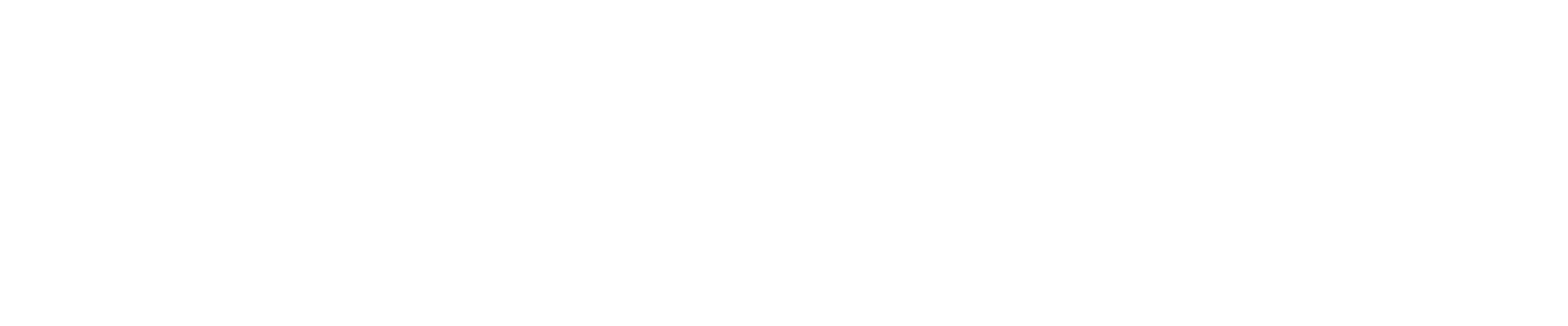 Logo hikari