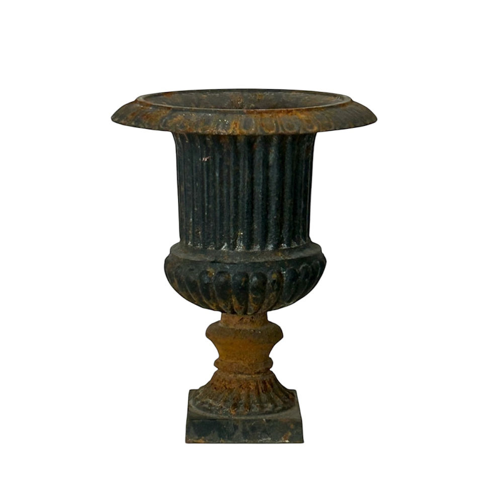 Copa Medici Circa 1.900.