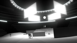 Rough Arena Model