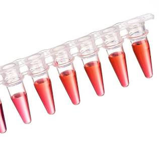 DNA Blue Egg Gene Complete Test Kit w/ Blood