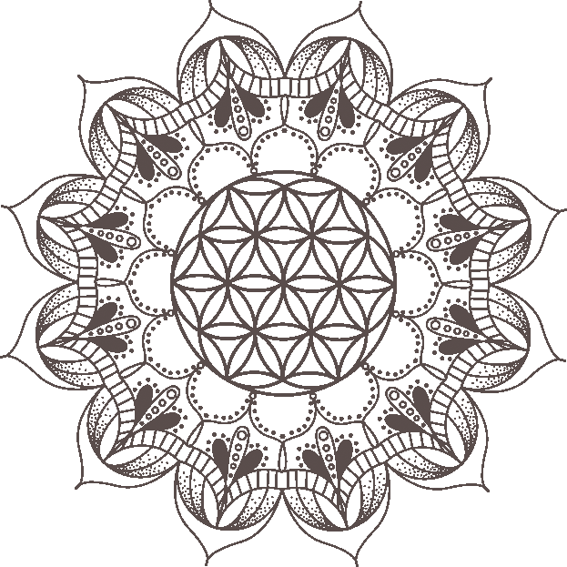 Beginners Yoga Boise