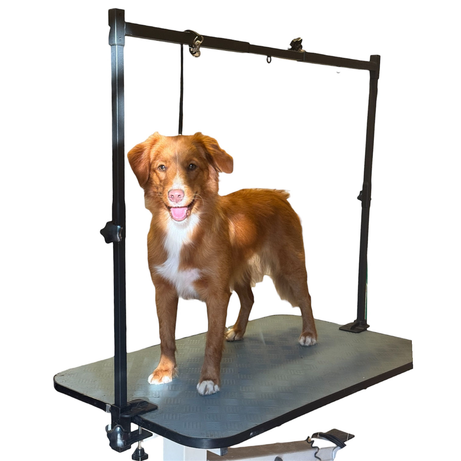 Double grooming holder mat black