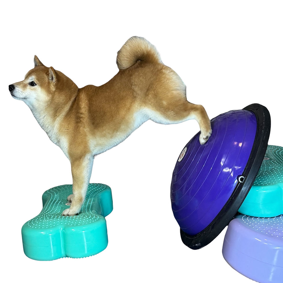 Thumbnail: Half round ball 58
