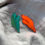 Thumbnail: BEGONIA
