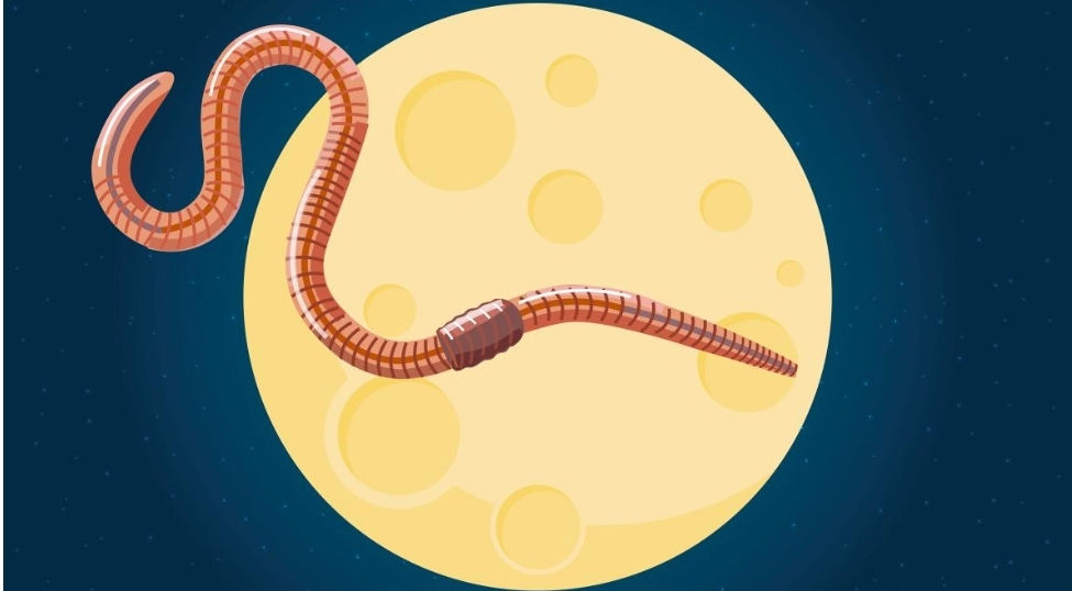 March 2023 Full Moon Circle