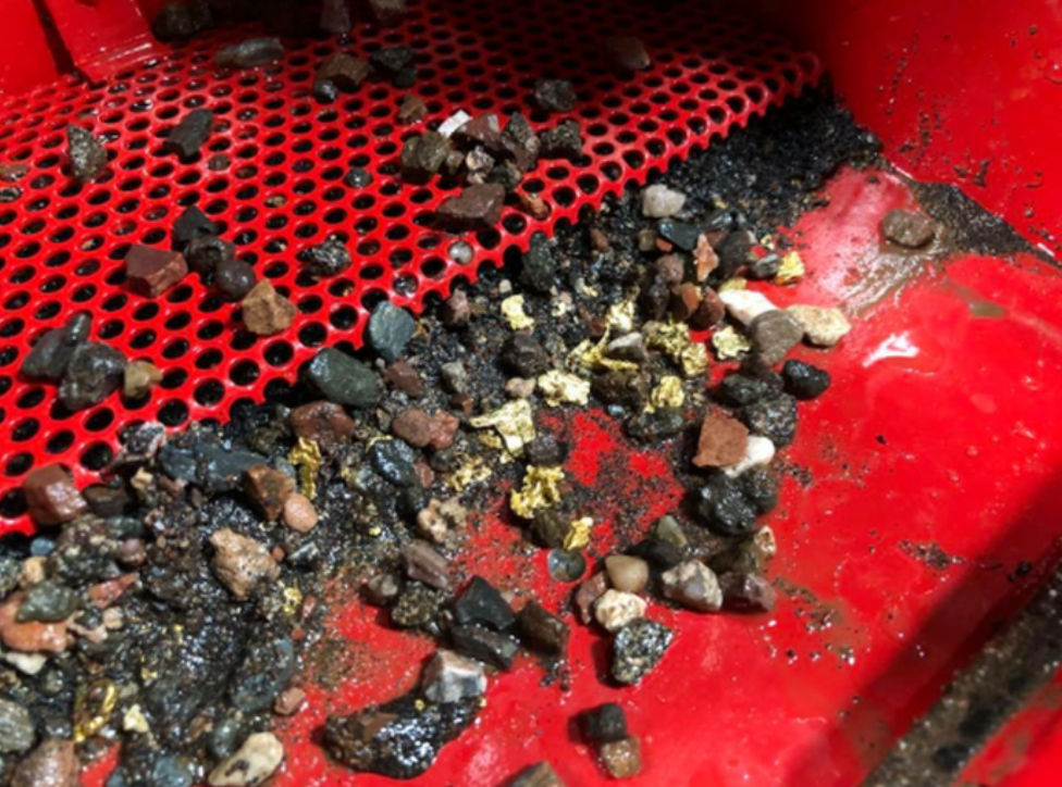 Thumbnail: Gold Fox 10” Deluxe/flare