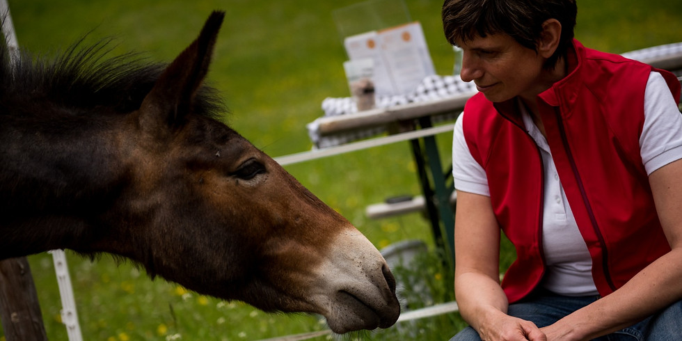 Tiergestütztes Coaching - Zur richtigen Zeit das richtige Tun