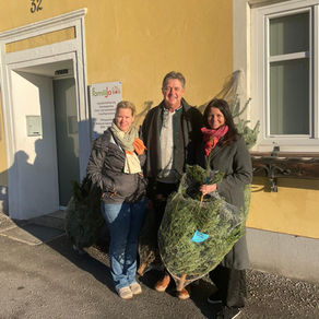 „Christbaumaktion mit Herz“ (FamiliJa + Rotary Club Spittal/Drau)