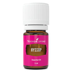 Hyssop