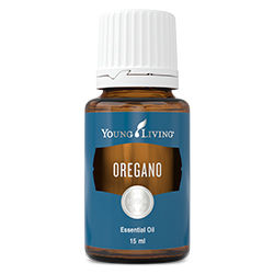 Oregano