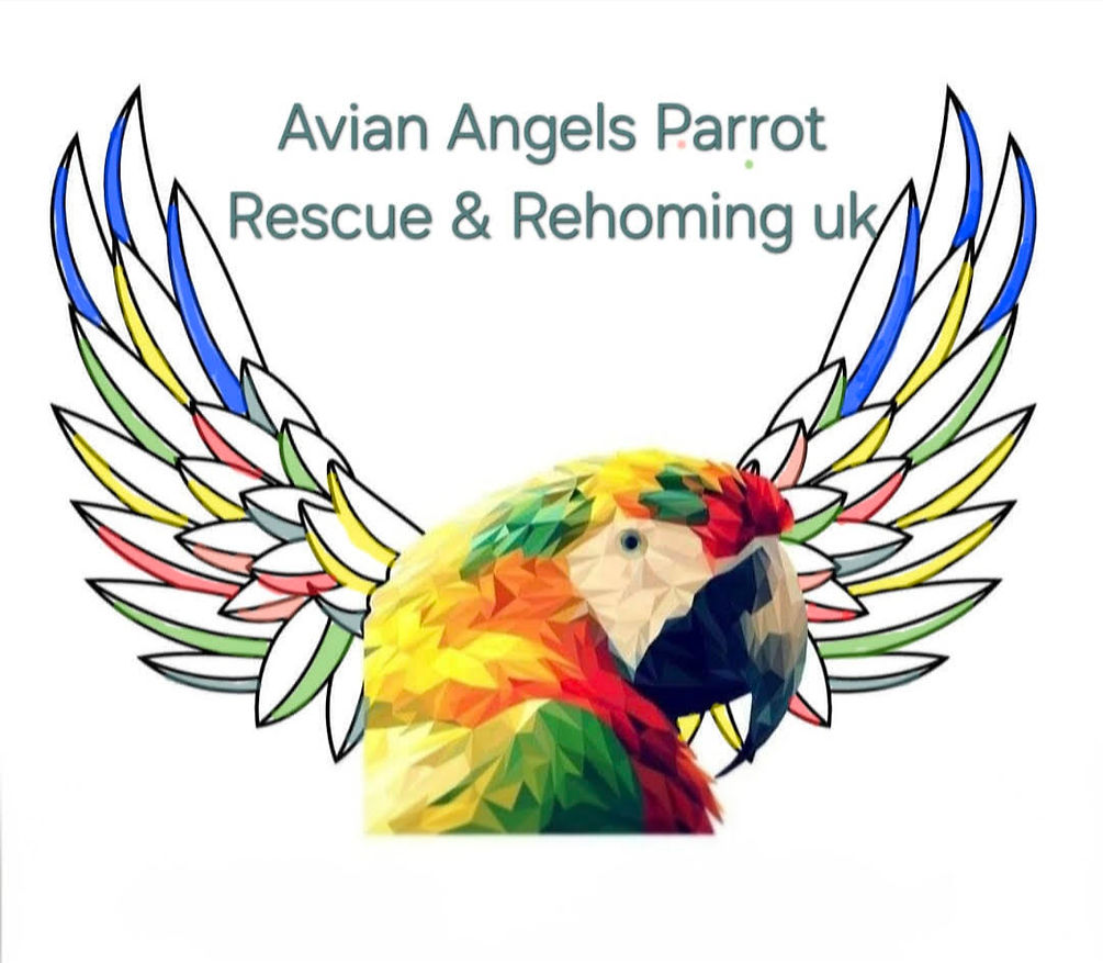 New rescue logo.jpg