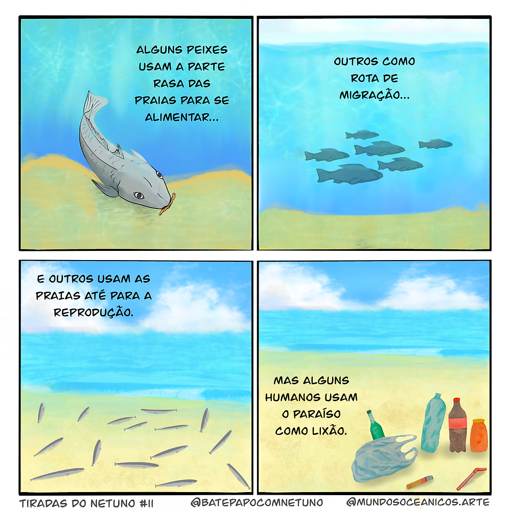 A tirinha colorida, com quatro quadros, mostra cenas na praia emersa e submersa com narração escrita em cada um. No rodapé consta que esta é a Tirada do Netuno #11, feito por @BatePapocomNetuno e @MundosOceanicos.Arte. Quadro 1 - Um peixe cinza próximo ao fundo de areia está comendo um poliqueta laranja, ao fundo a água do mar é azul clara. A narração diz “Alguns peixes usam a parte rasa das praias para se alimentar…” Quadro 1 - Um cardume de seis peixes cinza distantes nadam para a direita um pouco acima da areia em um fundo representando a água azul clara. A narração diz “Outros como rota de migração…” Quadro 3 - Outro cardume de peixes mais finos, mas também cinzas, está na zona de espraiamento (ou o espelho d’água) de uma praia com areia e águas claras, com poucas ondas, e ao fundo um céu azul com nuvens brancas. A narração diz “E outros usam as praias até para a reprodução.” Quadra4 -Na areia da praia, com o mar ao fundo, há agora vários itens de lixo: sacolas de plástico, garrafas de bebidas, um pote, uma bituca de cigarro e um canudo. A narração diz “Mas alguns humanos usam o paraíso como lixão.”