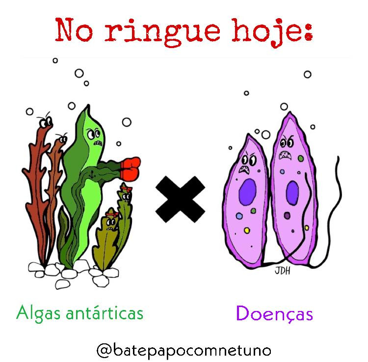 A imagem é uma ilustração de algas marinhas com luvas de boxe no lado esquerdo e seres unicelulares representando as doenças no lado direito.