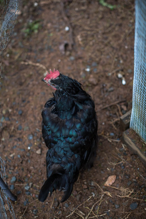 untitled image