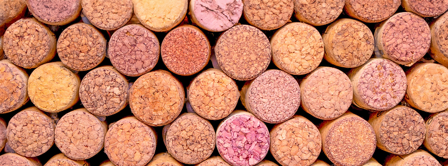 Untitled design (12).png