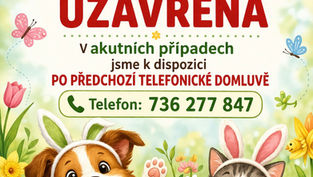 Vetrinární ordinace 2.4. uzavřena