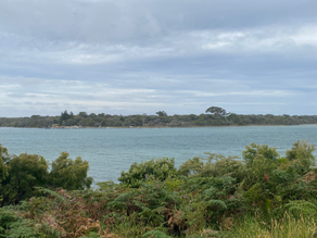 You Don’t Change the Problem — You Change the Frequency