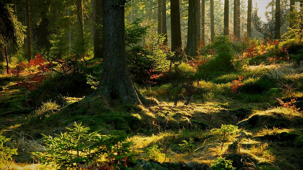 Ontwerp zonder titel (2) 2.jpg