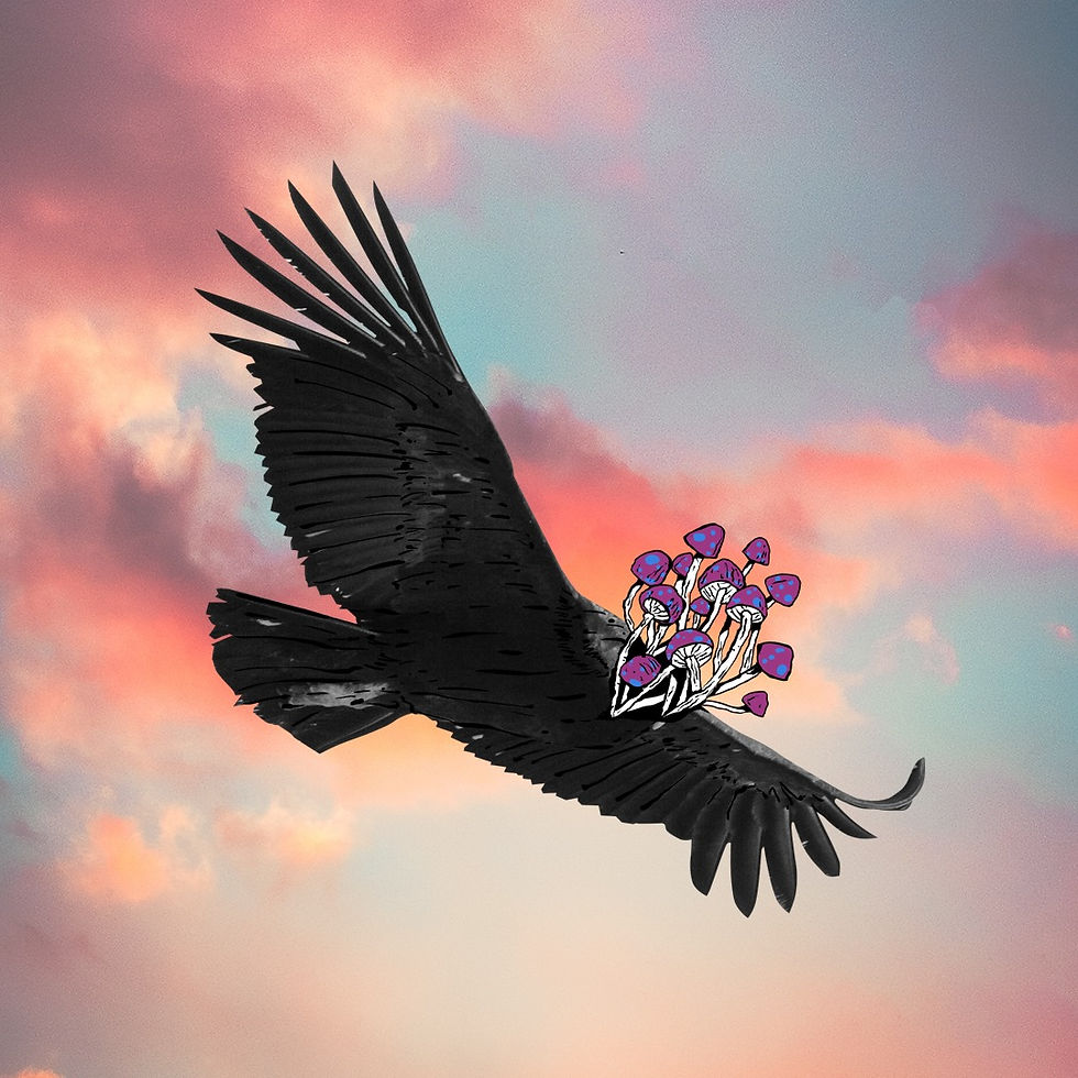 Imagem do WhatsApp de 2025-01-16 à(s) 13.26.57_1e224686.jpg