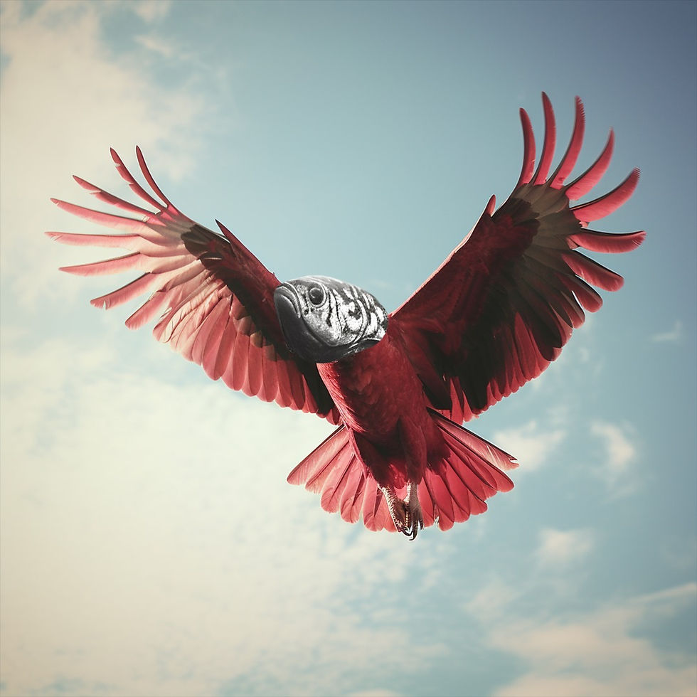 Imagem do WhatsApp de 2025-01-16 à(s) 13.26.56_e699eed4.jpg