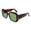 Thumbnail: GCDS Brown Unisex Sunglasses