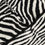 Thumbnail: Dolce & Gabbana Black White Zebra Knitted Winter Beanie Hat
