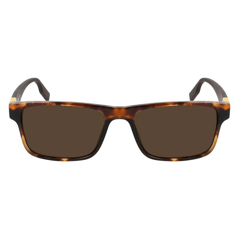 Converse Brown Acetate Sunglasses