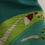 Thumbnail: Lanre Da Silva Ajayi Elegant Embroidered Green Mini Dress