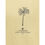 Thumbnail: Jacquemus Venice T-Shirt
