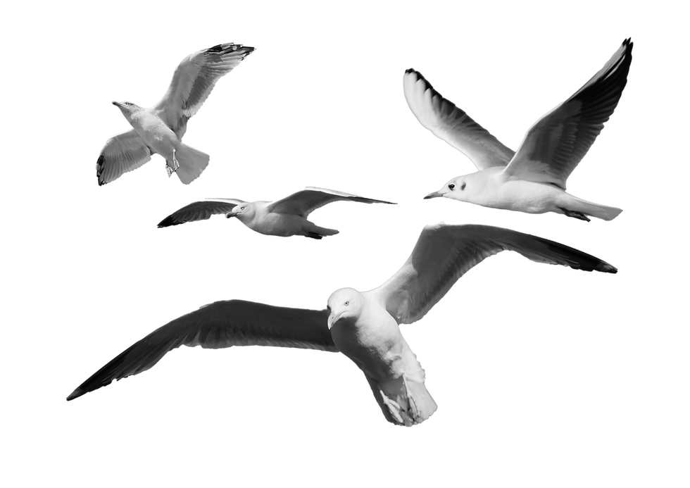 blwrk elemants (2).png