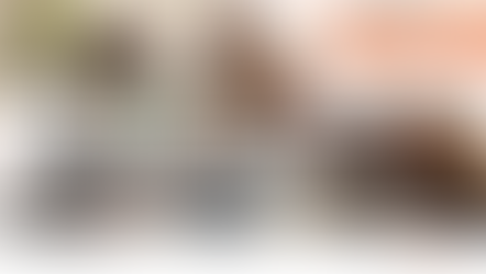 From Forming to Performing: How to Build High-Performing Project Teams Using the Tuckman Model