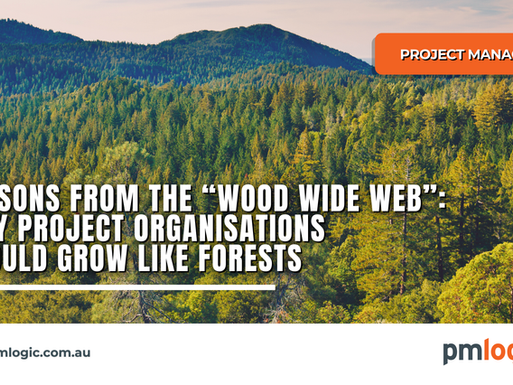 Walk any mature forest and you’ll notice something humbling: there’s no command post, no “CEO tree,” yet the system thrives. Trees communicate, trade resources, and coordinate growth through vast root–fungal networks nicknamed the wood wide web, which is a living infrastructure that helps forests adapt and endure.