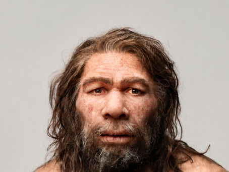 CAMINAR COMO UN NEANDERTAL 