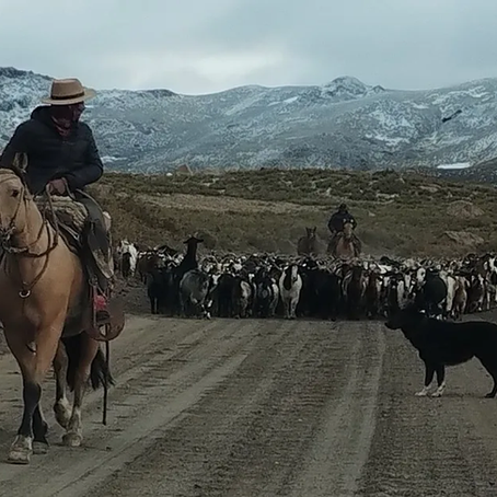 ¿MALVIVIR POR OTROS O SOSTENER SISTEMAS ECOLÓGICOS POR CUENTA PROPIA?
