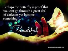 butterfly is proof