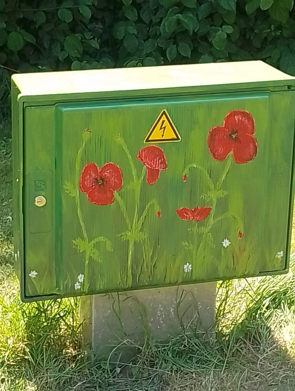 stroomkastje beschilderd met klaprozen