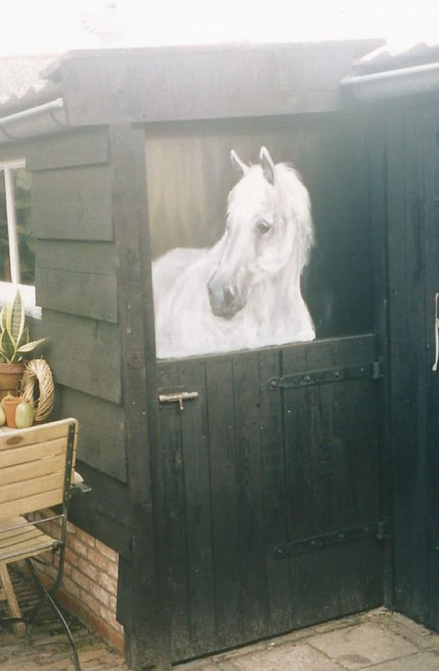 Paard op stal