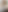 dataCollator Screen.png
