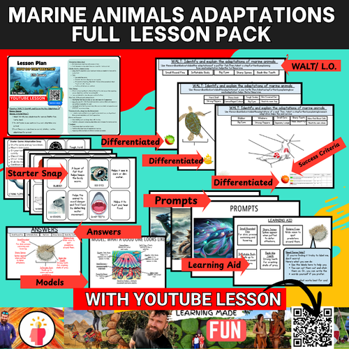 Marine Animal Adaptations - Lesson Pack (With Youtube Lesson Video ...