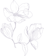 GA magnolia 3_edited_edited.png