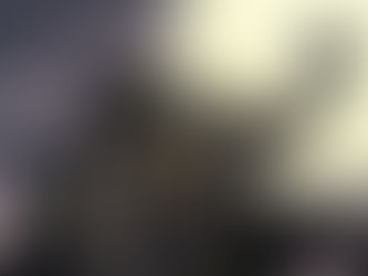 EXCLUSIVE Incentive Cover Reveal! Indie Hit GARGOYLE BY MOONLIGHT Collected by CEX Publishing