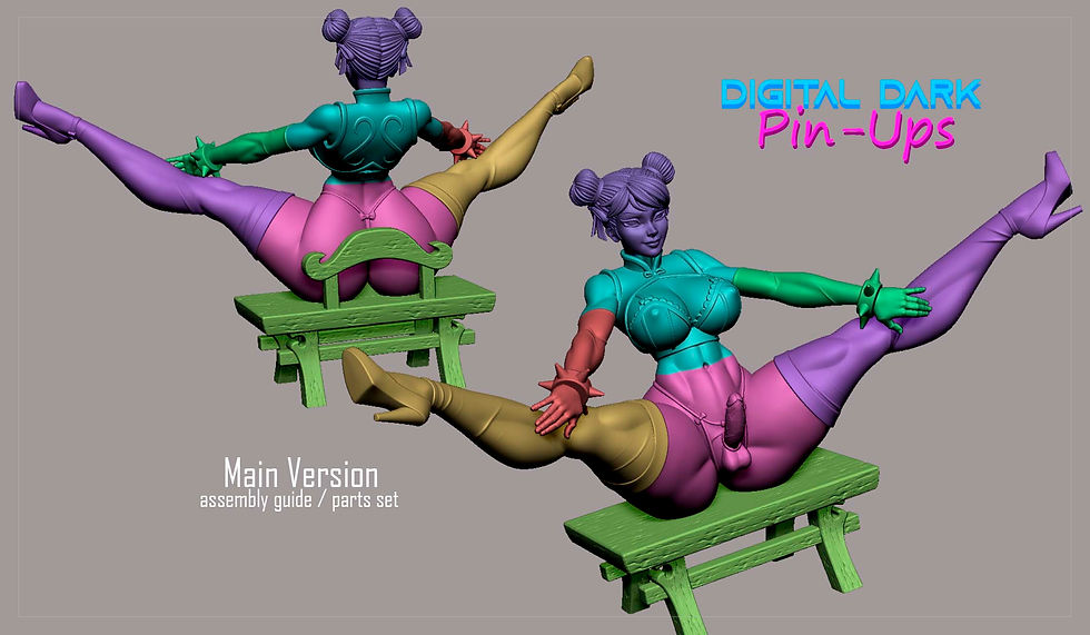 Thumbnail: Chun Li FUTA 3D Printed Model