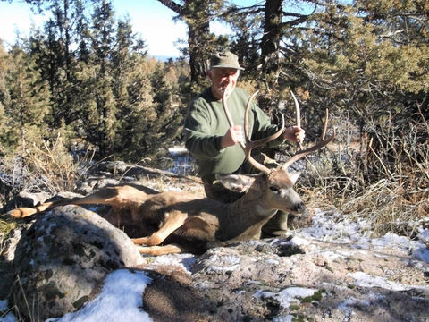 DSCF2268 (800x600).jpg