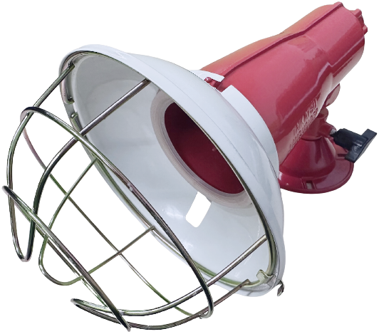 Thumbnail: Reflector Lamp Lighting Fixture