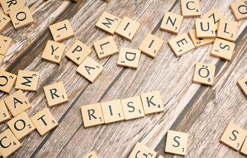 risk intelligence words