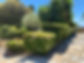 received_308385767487761.jpeg