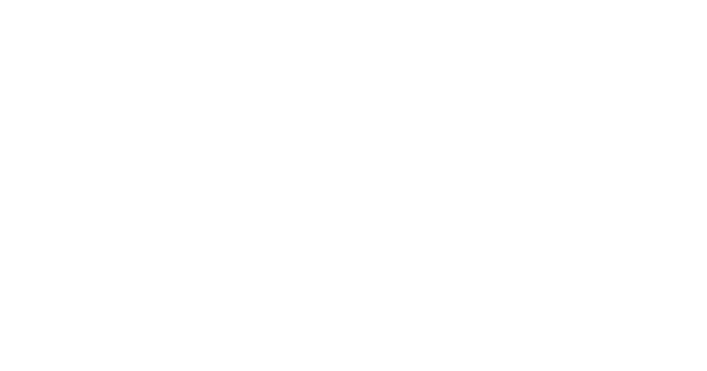 Logo Fighters Playground
